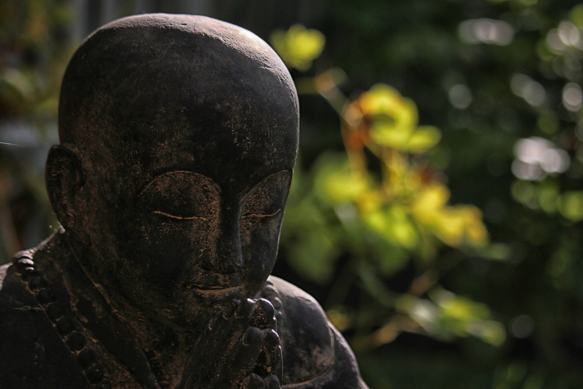 Canon EF-S 55-250mm F4-5.6 IS STM sample photo. Buddha photography