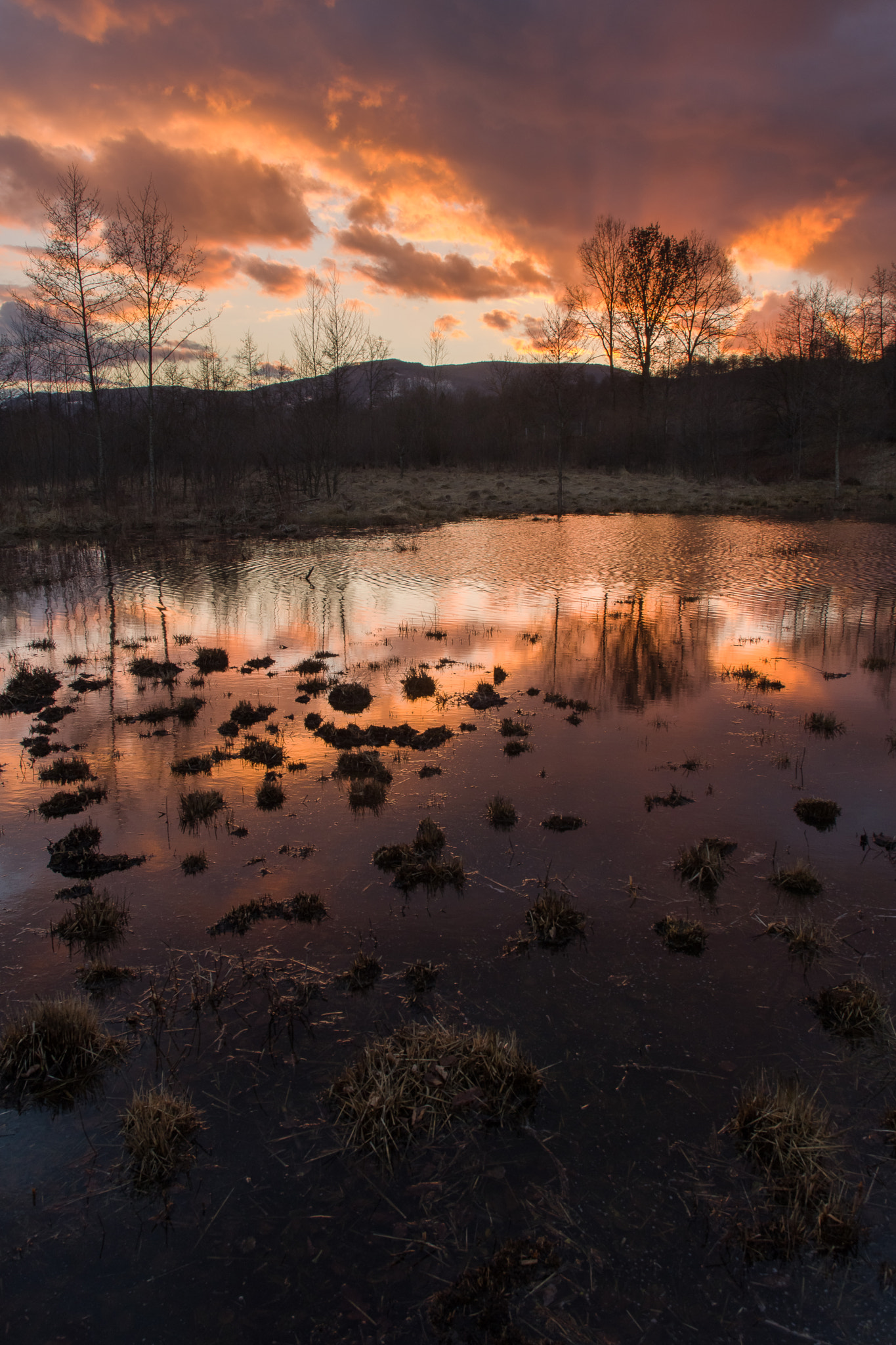 Nikon D500 sample photo. Meltwater on fire photography