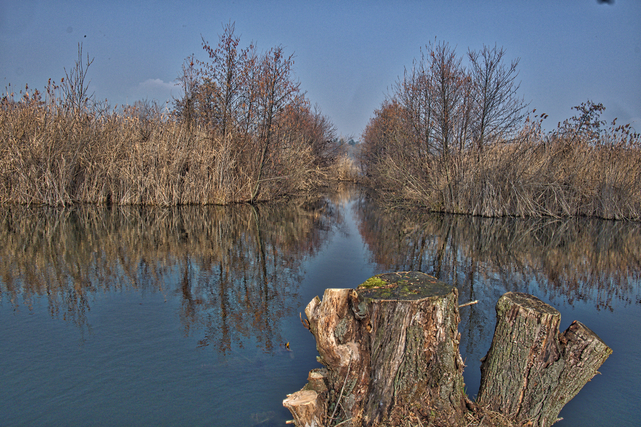 Fujifilm XC 16-50mm F3.5-5.6 OIS sample photo. Dscf photography