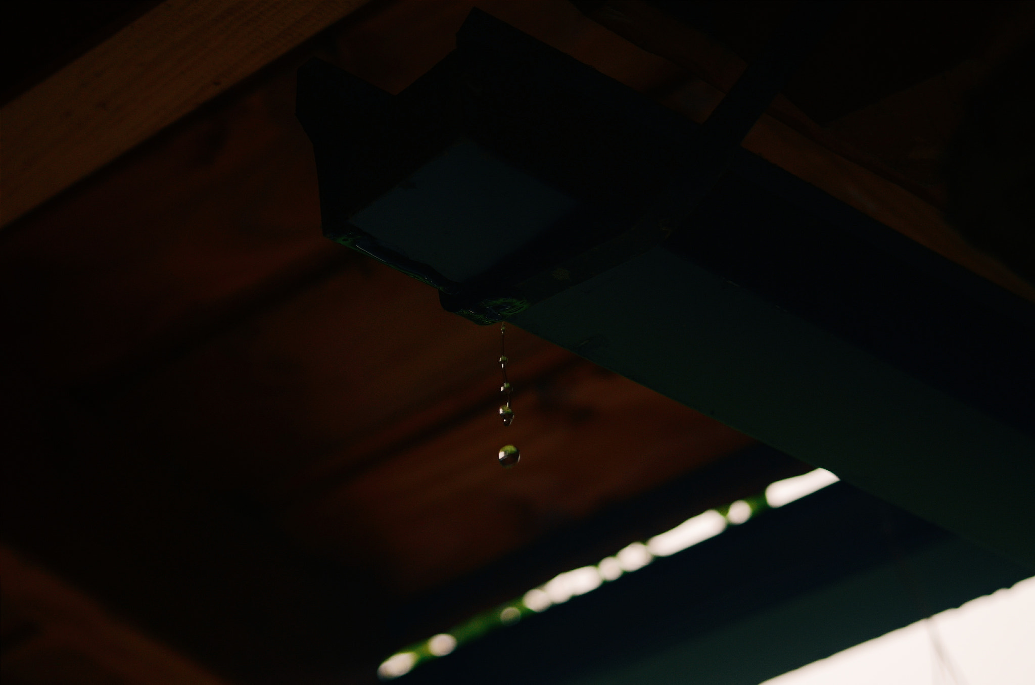 Sigma 70-300mm F4-5.6 APO DG Macro sample photo. Drops  photography