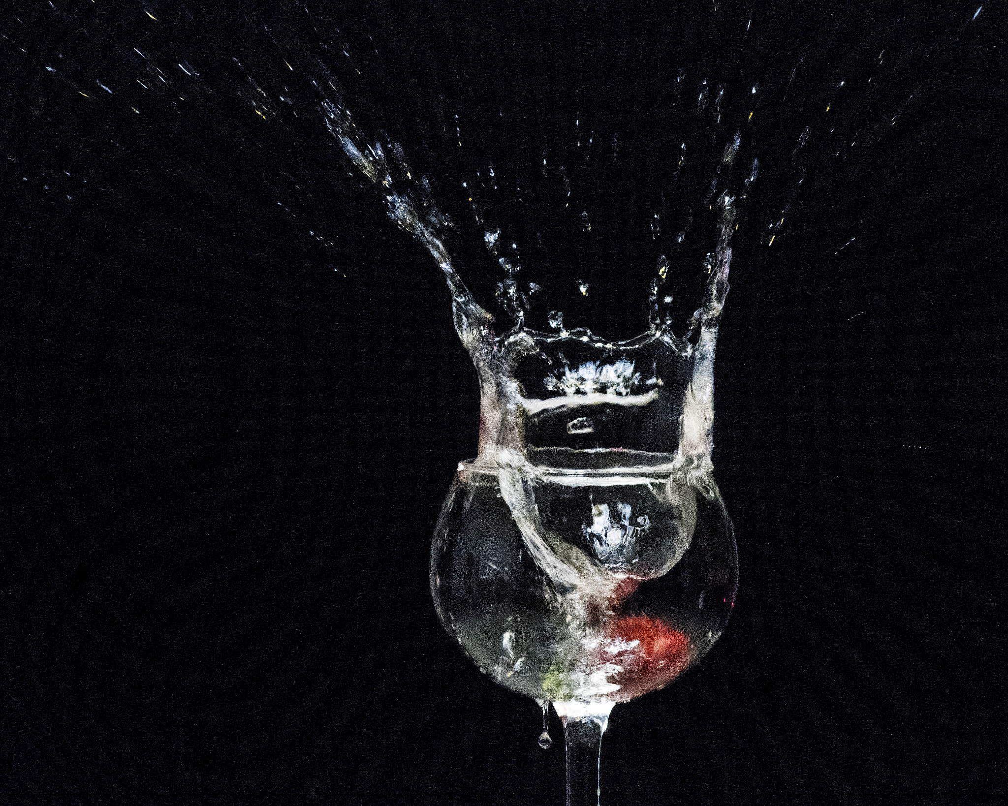 Nikon D500 sample photo. Wet & wild photography