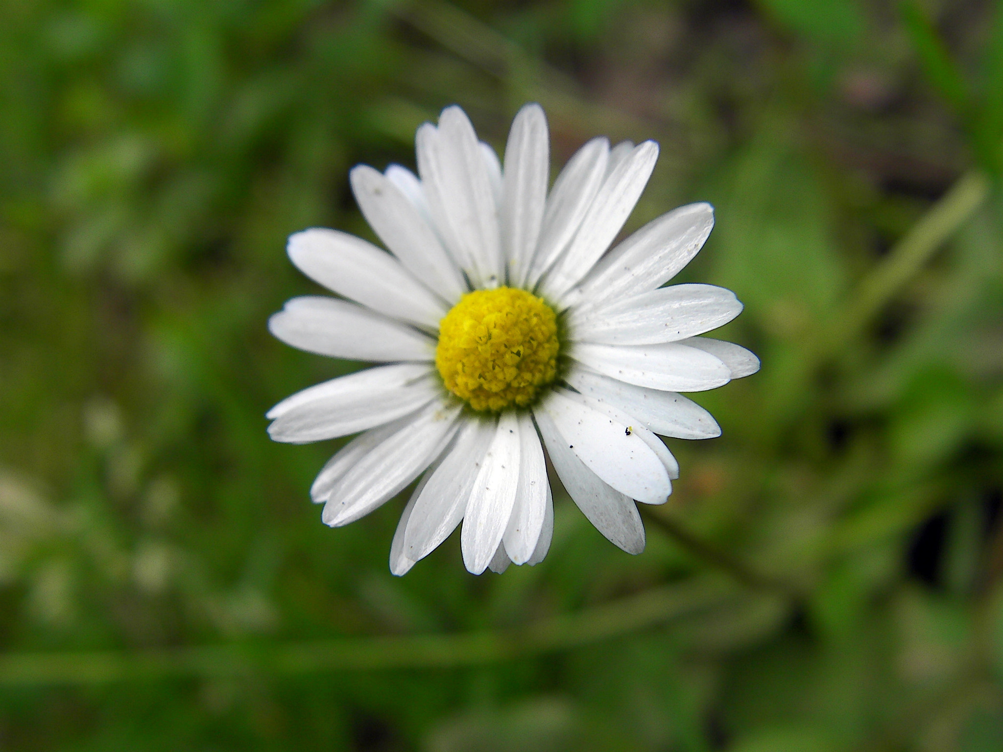 SANYO CG9 sample photo. Sanyo digital camera photography