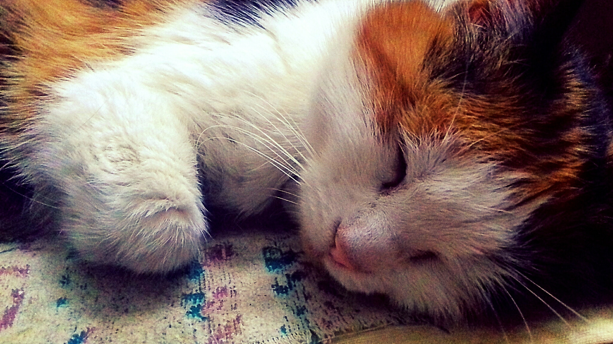 Samsung Galaxy J3 sample photo. Sweet dreams photography