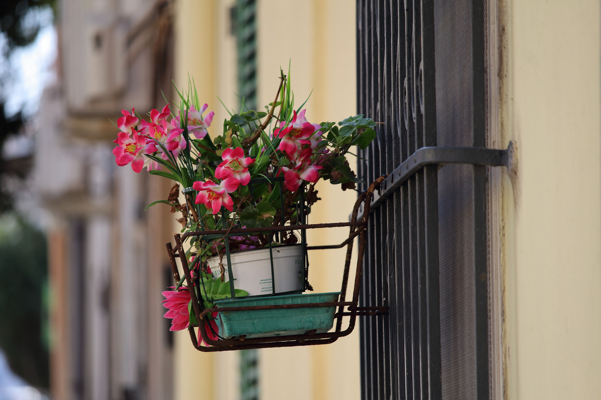 Canon EF-S 55-250mm F4-5.6 IS STM sample photo. Spring photography
