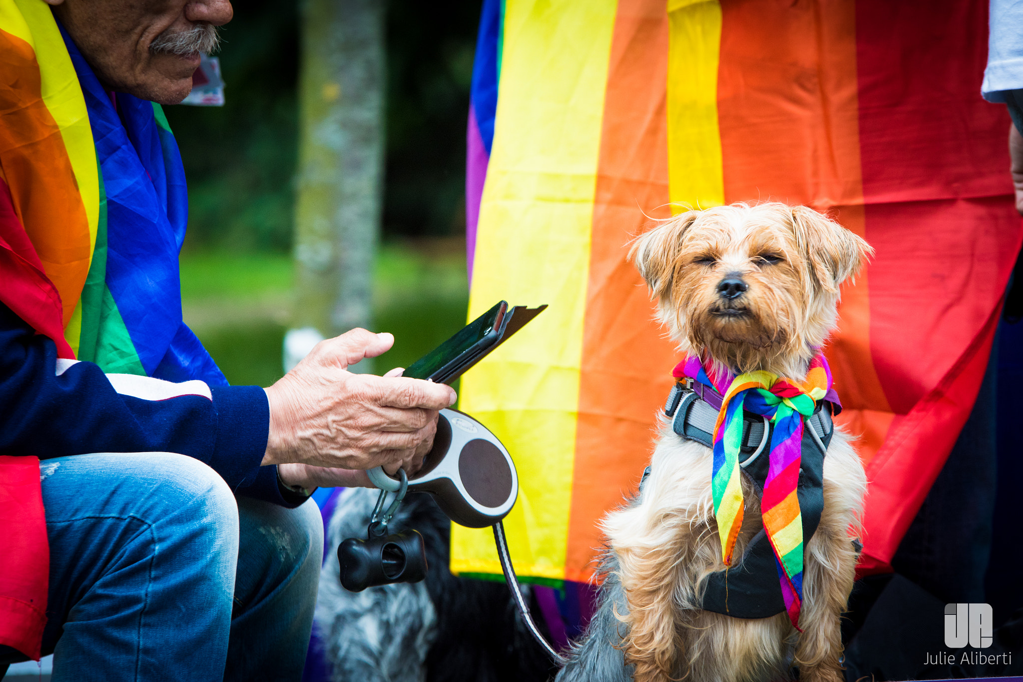 Sigma 70-200mm F2.8 EX DG OS HSM sample photo. Gay pride strasbourg photography