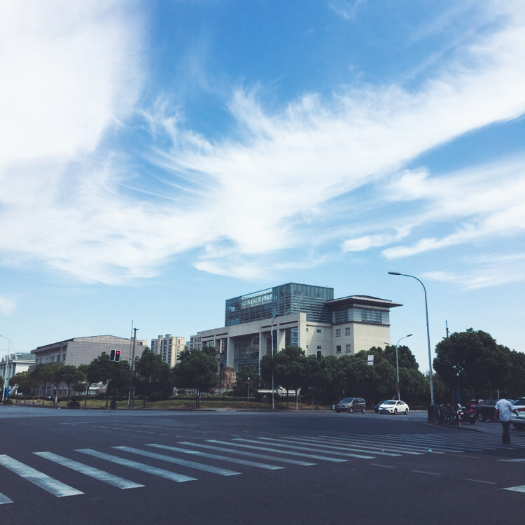 Apple iPhone8,1 sample photo. Shanghai photography