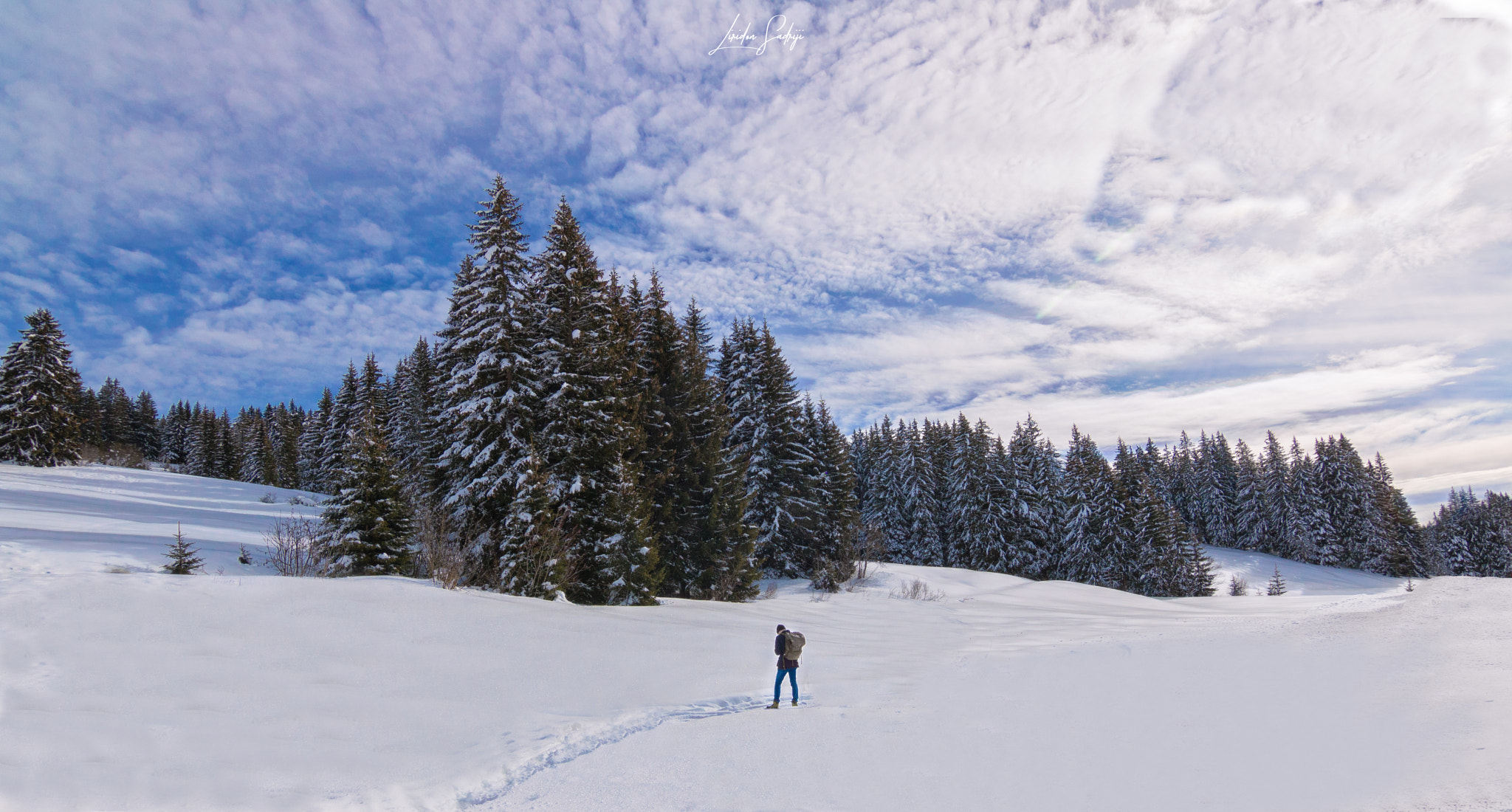 Canon EOS 750D (EOS Rebel T6i / EOS Kiss X8i) sample photo. Winter photography