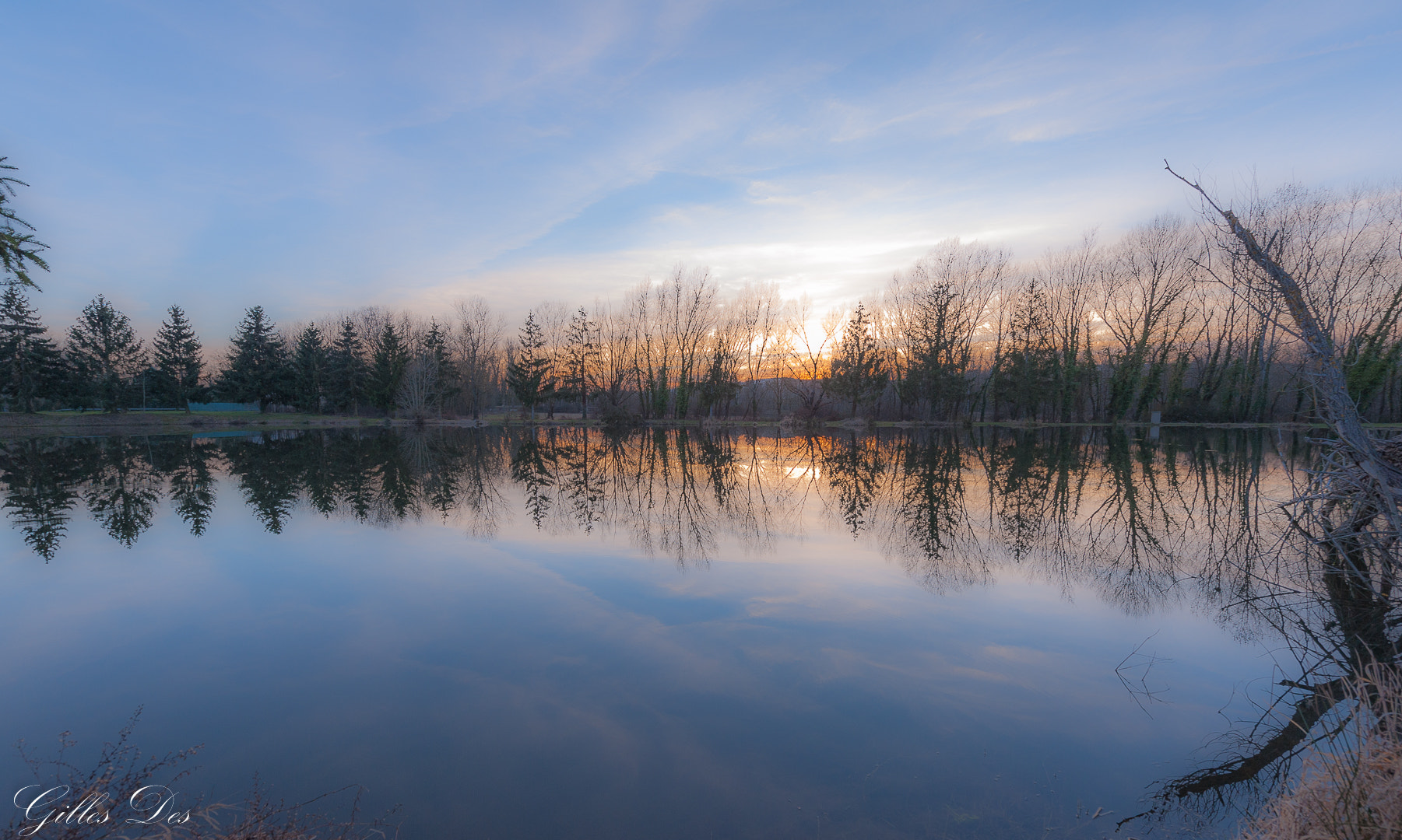 Nikon AF-S Nikkor 14-24mm F2.8G ED sample photo. étang des chères photography