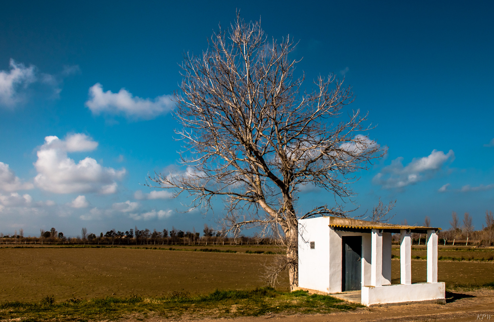 Canon EF 20mm F2.8 USM sample photo. A shack photography