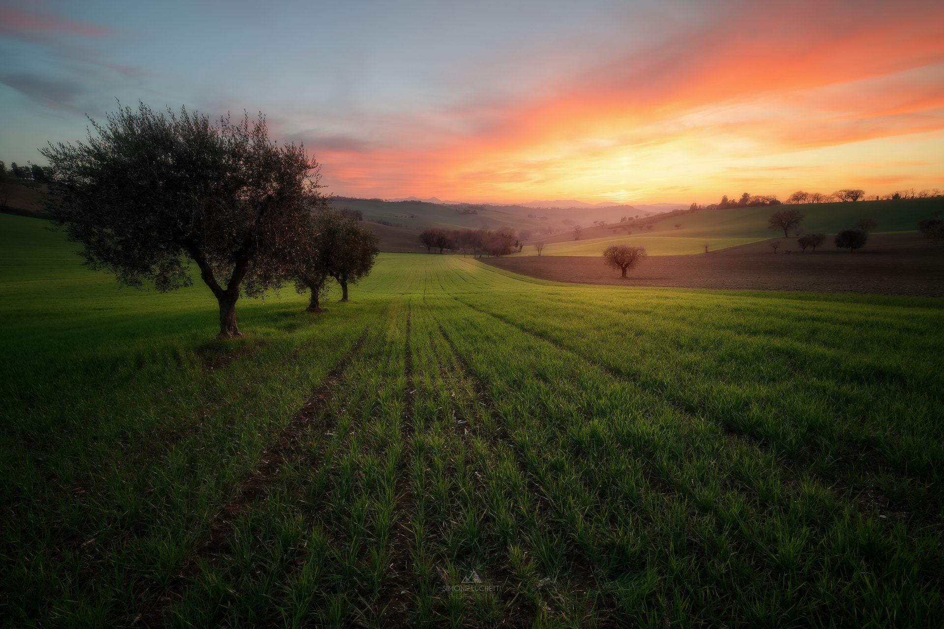 Sony a7R II + Samyang AF 14mm F2.8 FE sample photo. "quietude" photography