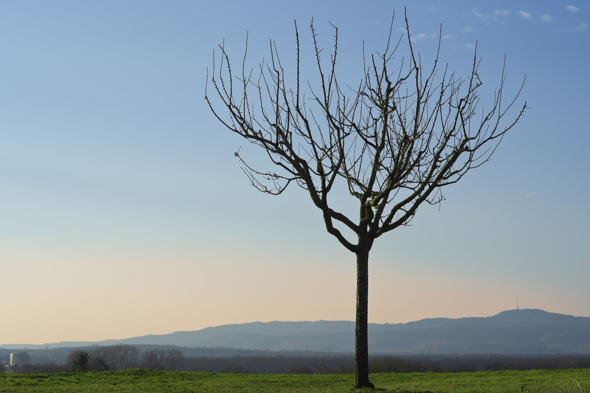 Nikon D7200 sample photo. Solitude photography