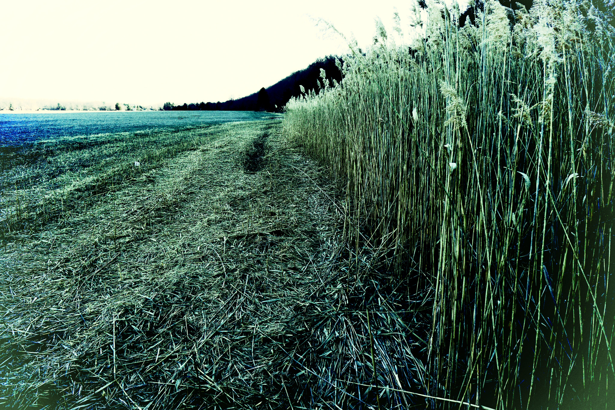 Sony Alpha NEX-7 + Sony E 16mm F2.8 sample photo. Far away photography