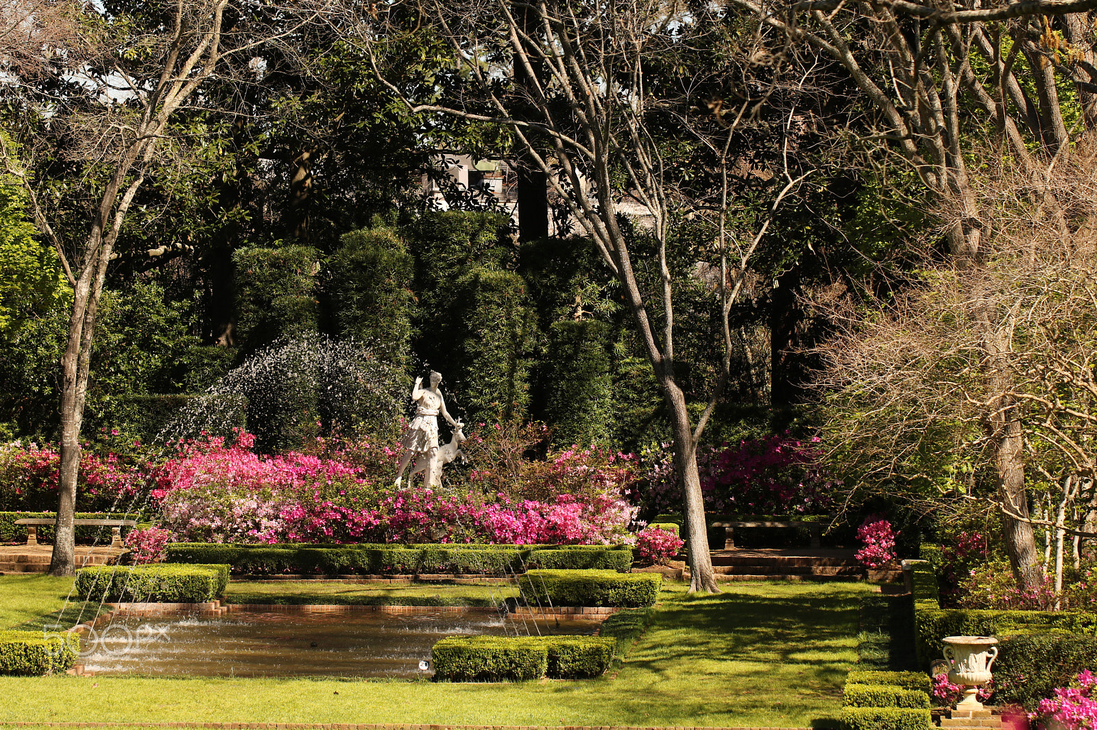 Canon EF 100mm F2.8L Macro IS USM sample photo. Bayou bend 1669 photography