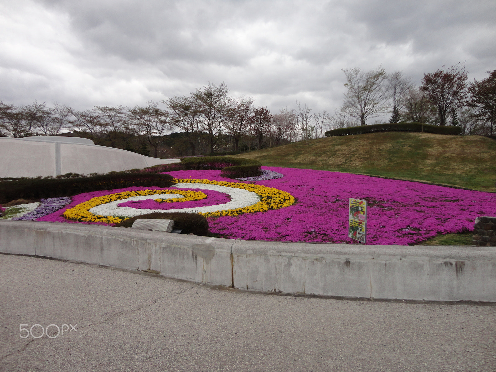 Sony Cyber-shot DSC-W570 sample photo. Japan beauty park photography