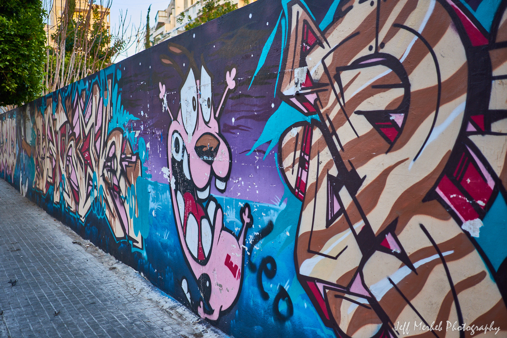 Fujifilm X-T10 + Fujifilm XF 23mm F2 R WR sample photo. Courage the cowardly dog street photography