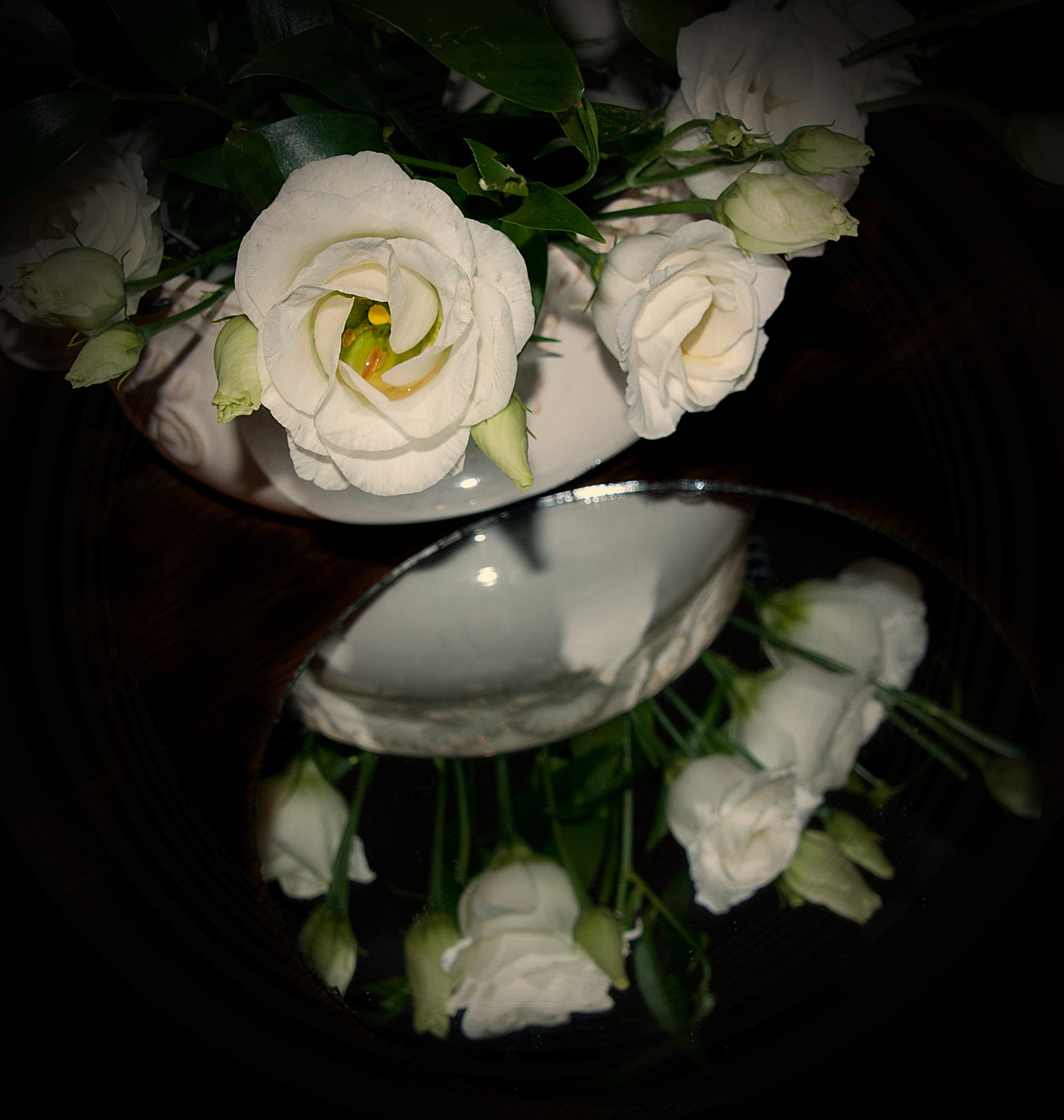 Tamron 18-270mm F3.5-6.3 Di II PZD sample photo. Eustoma wielkokwiatowa2 photography