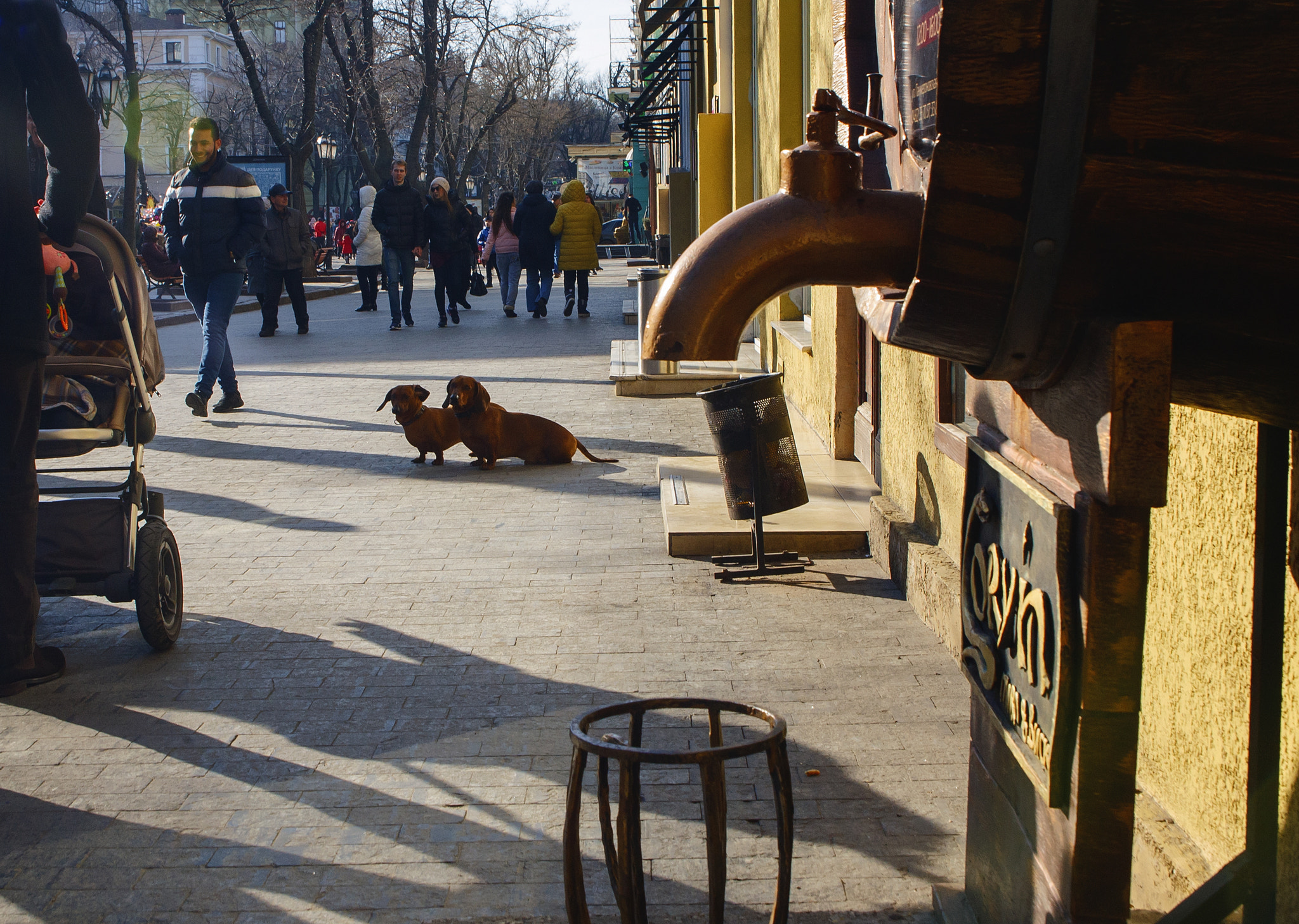 Canon EF 28-105mm f/3.5-4.5 USM sample photo
