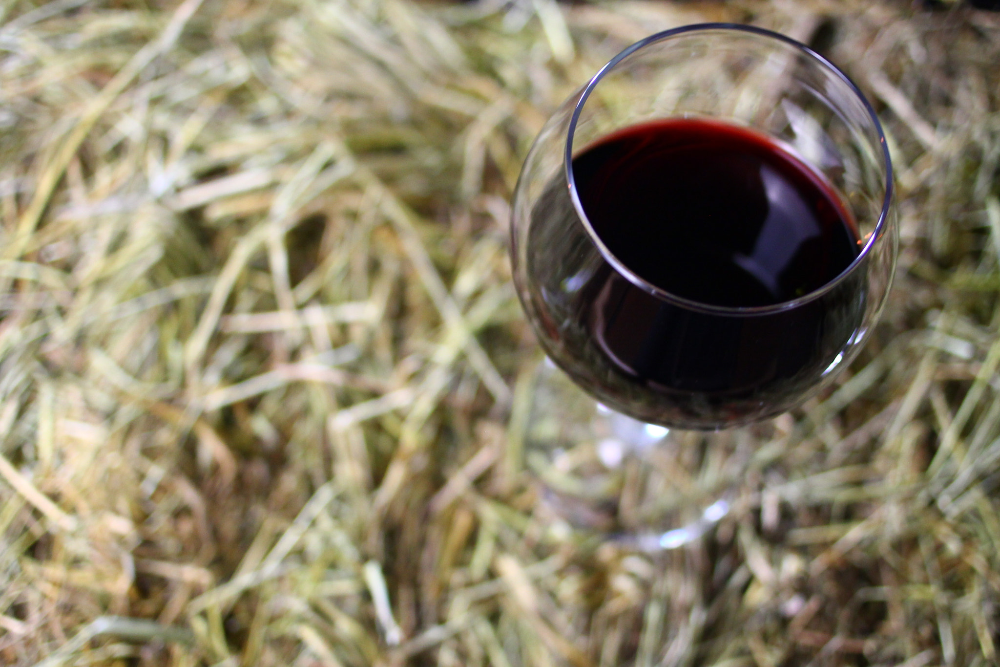 Canon EF 35mm F2 sample photo. Wine photography