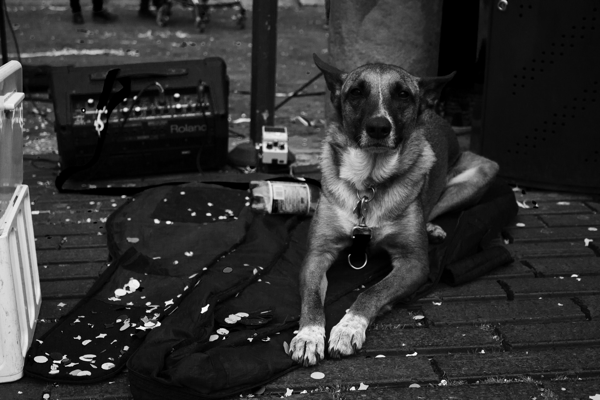 Canon EOS 1000D (EOS Digital Rebel XS / EOS Kiss F) sample photo. • beta • photography