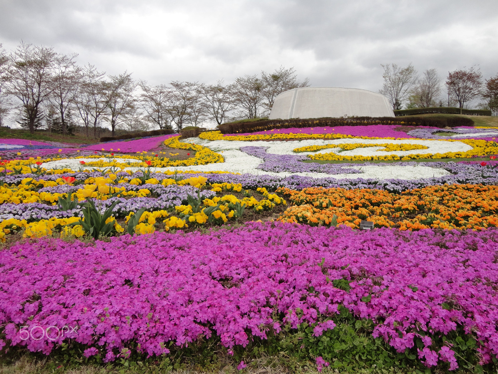 Sony Cyber-shot DSC-W570 sample photo. Japan beauty park photography