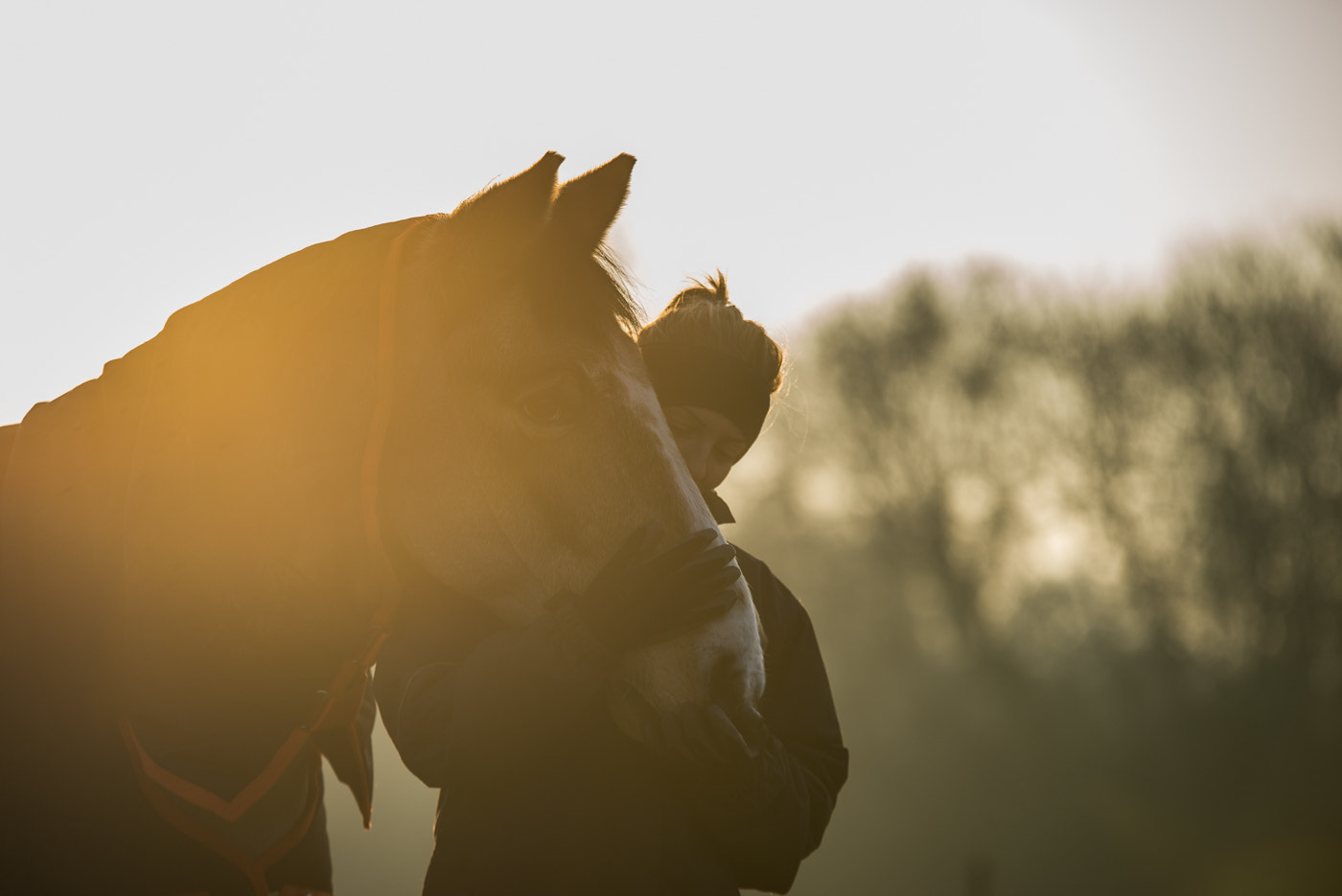 Nikon D610 + Sigma 70-200mm F2.8 EX DG OS HSM sample photo. My girl and her horse photography