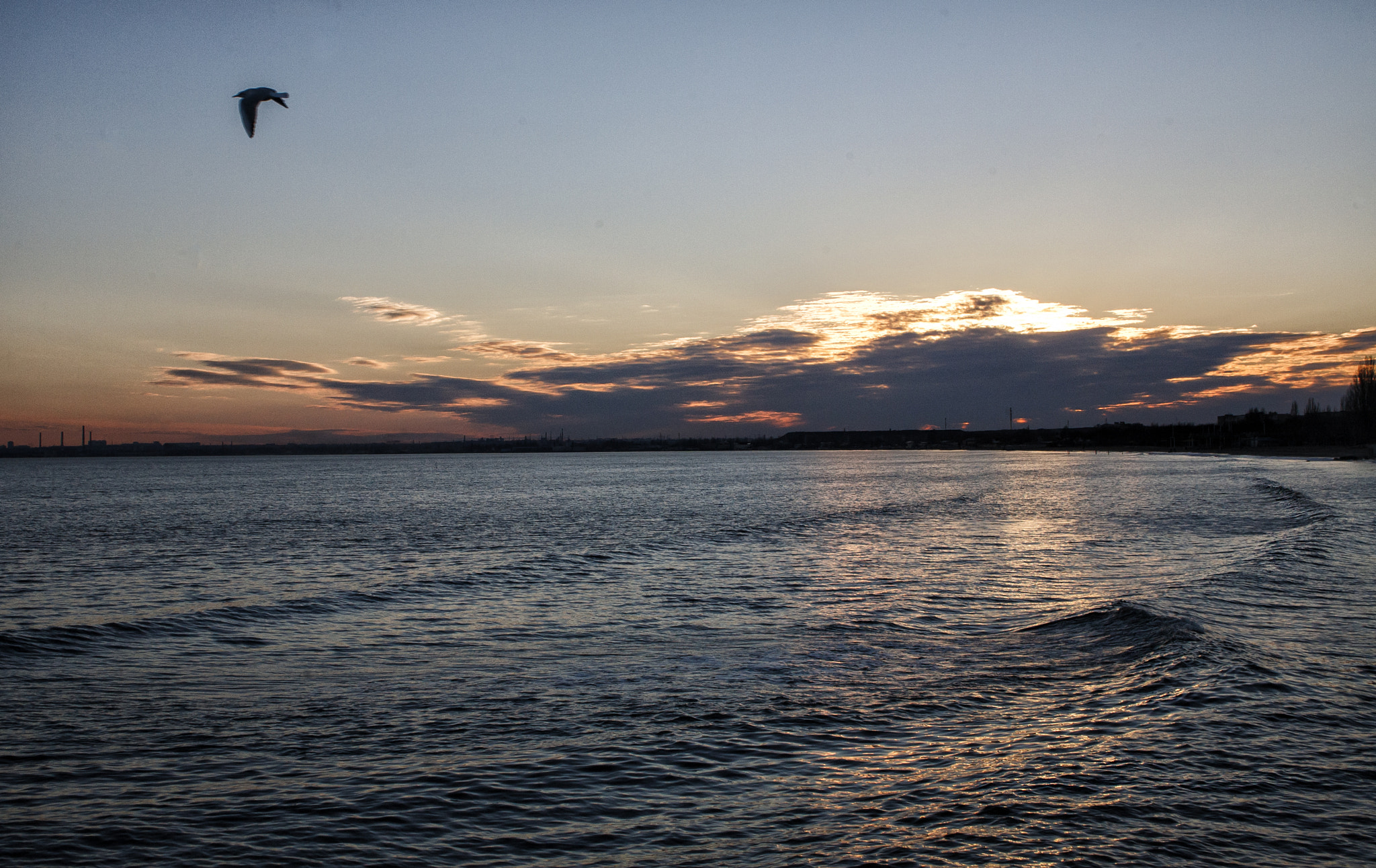 Canon EF 28-105mm f/3.5-4.5 USM sample photo