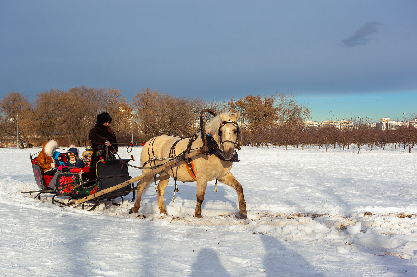Canon EF 35-135mm f/4-5.6 USM sample photo. Bringing joy photography
