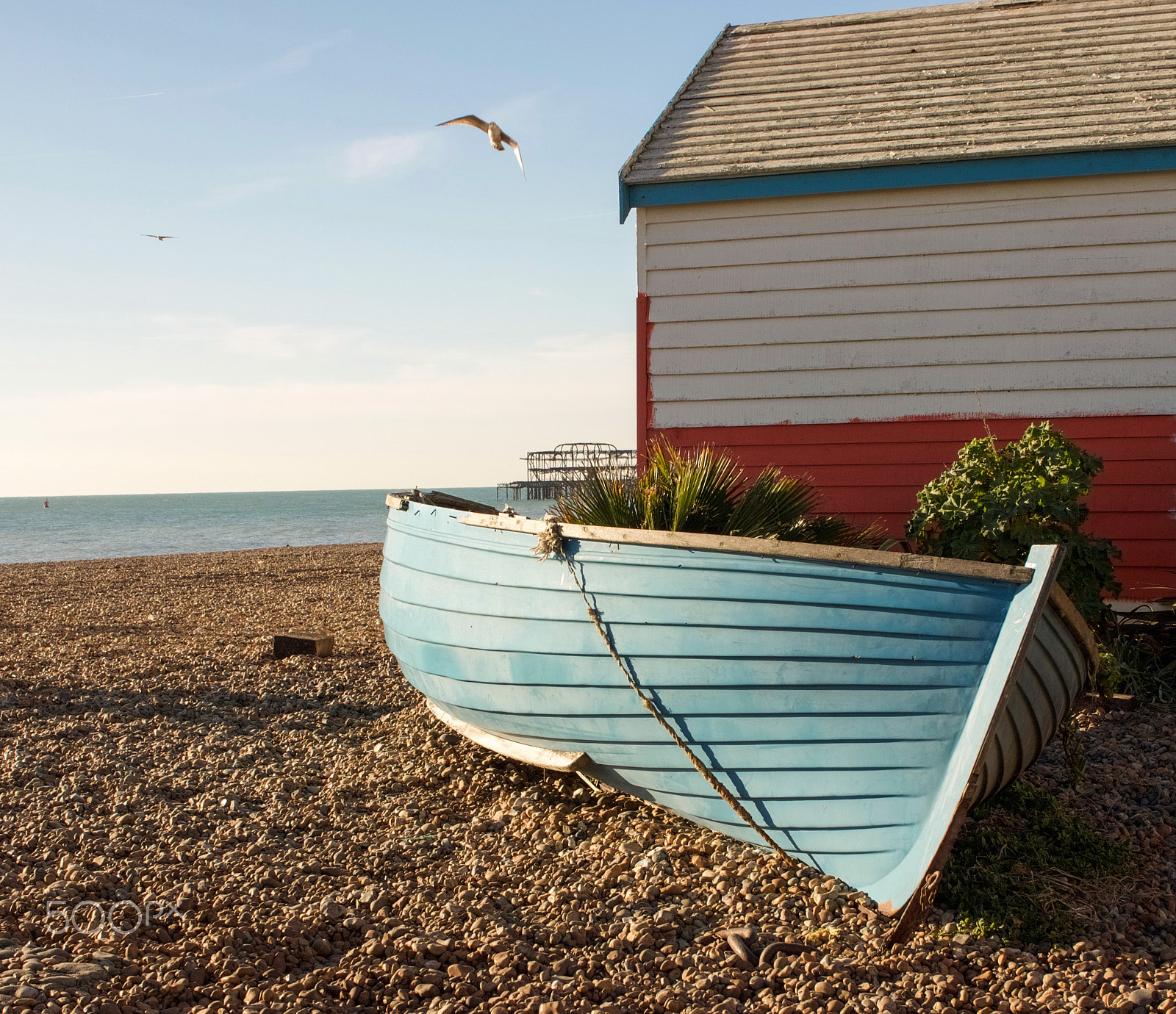 Canon EOS 750D (EOS Rebel T6i / EOS Kiss X8i) sample photo. Seagull, rowing boat and wooden hut on beach photography