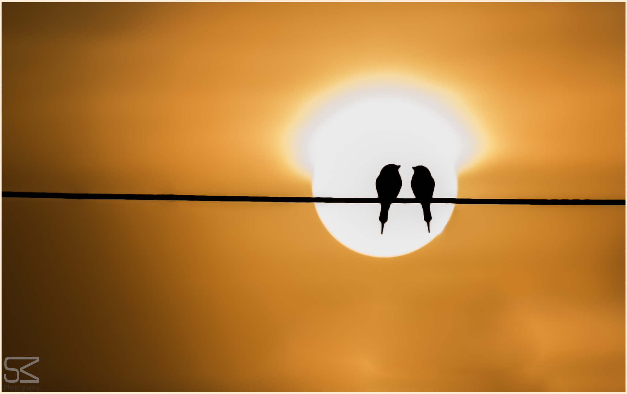 Nikon D3200 sample photo. Love birds photography