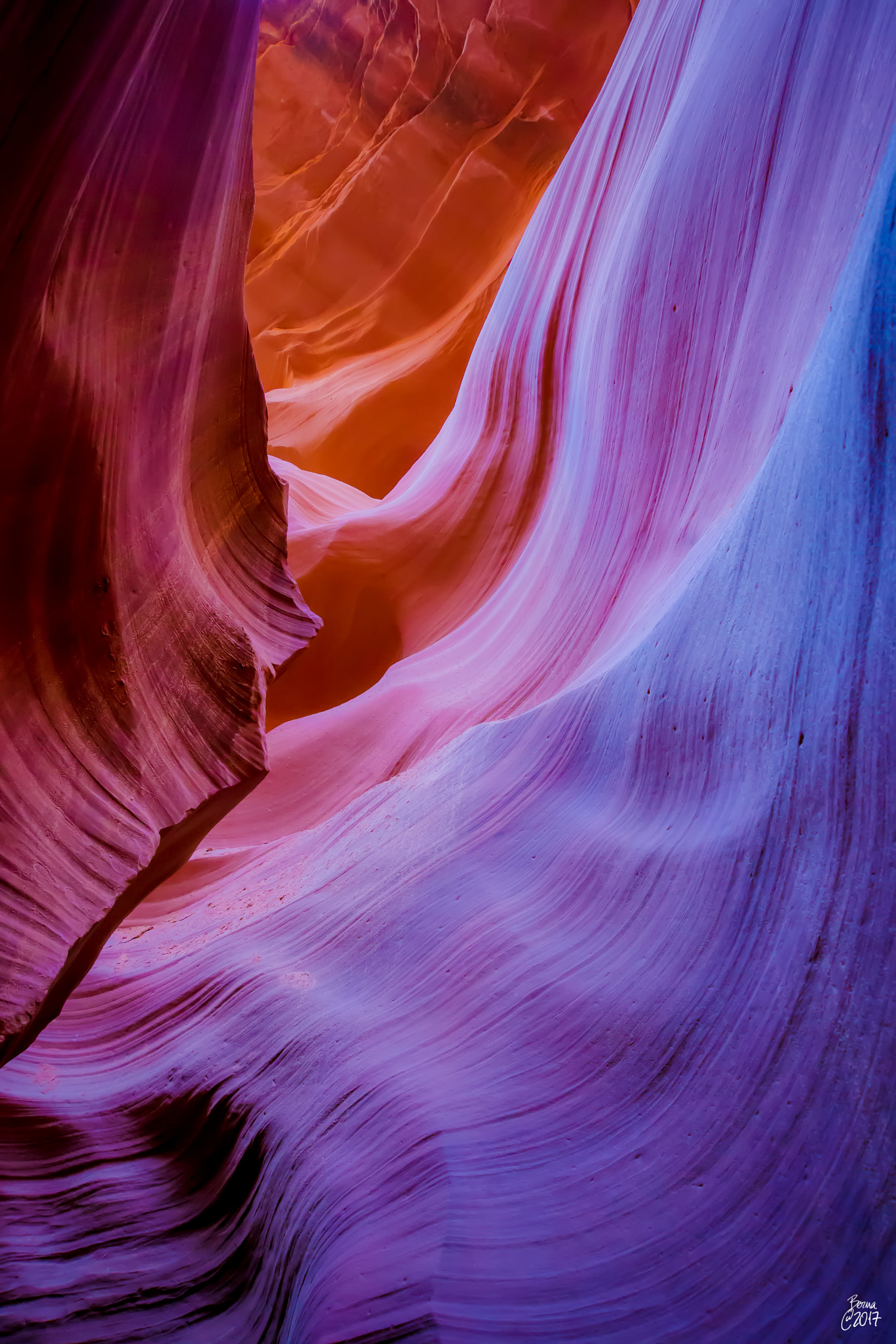 AF Zoom-Nikkor 24-120mm f/3.5-5.6D IF sample photo. In antelope photography