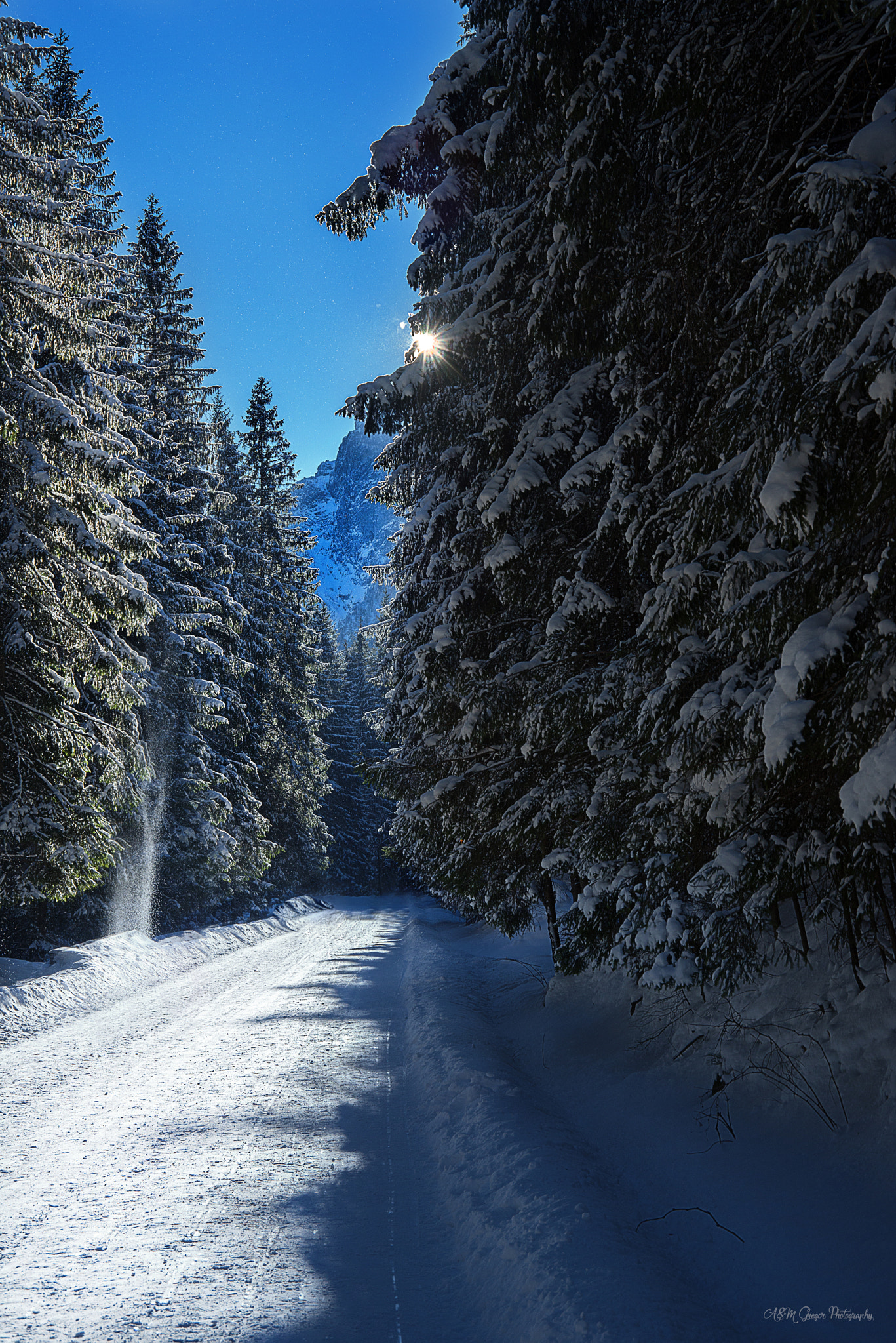 Nikon D600 sample photo. Winter photography