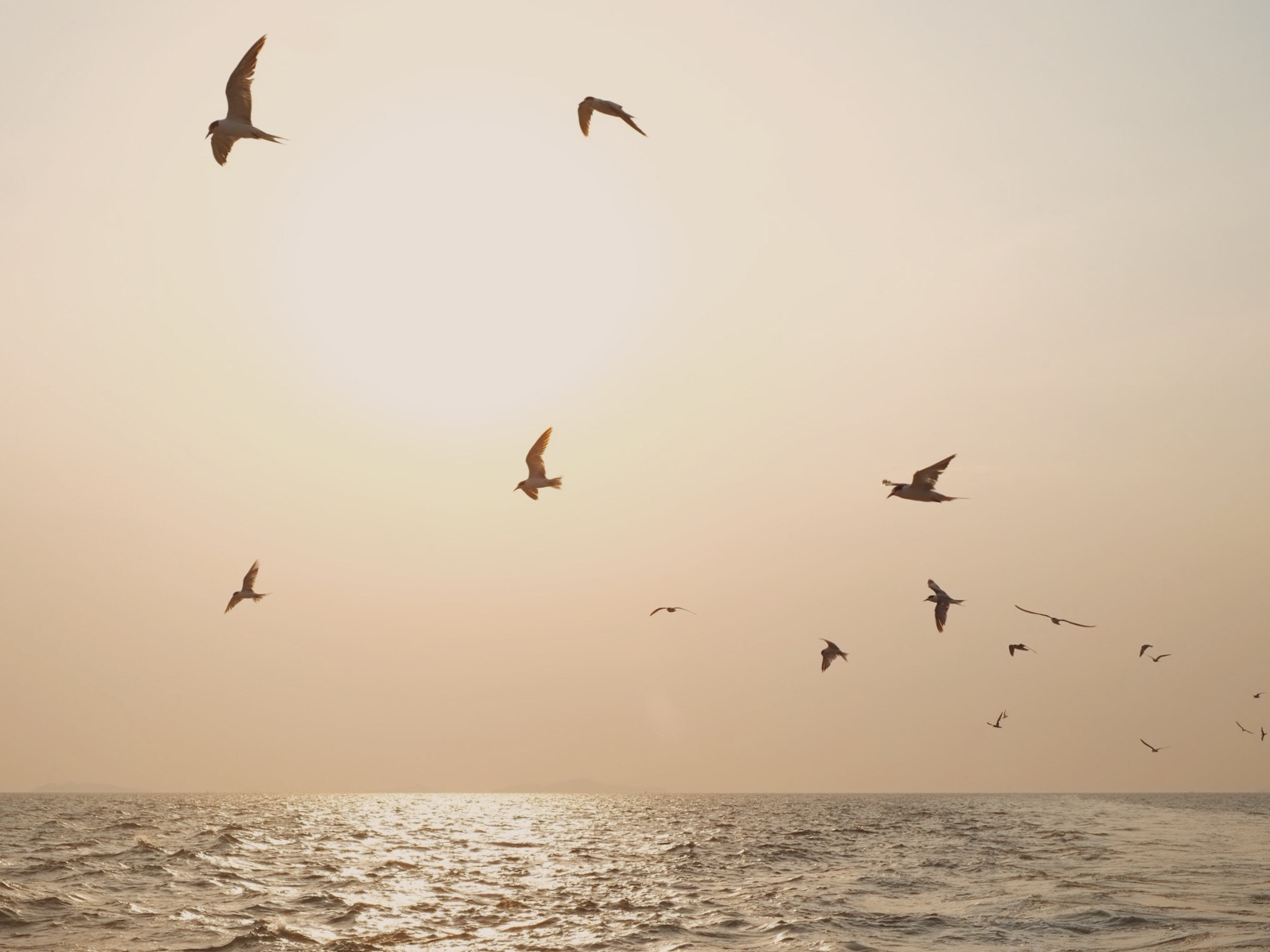 Fujifilm X-Pro1 sample photo. On the ferry to mainland. photography