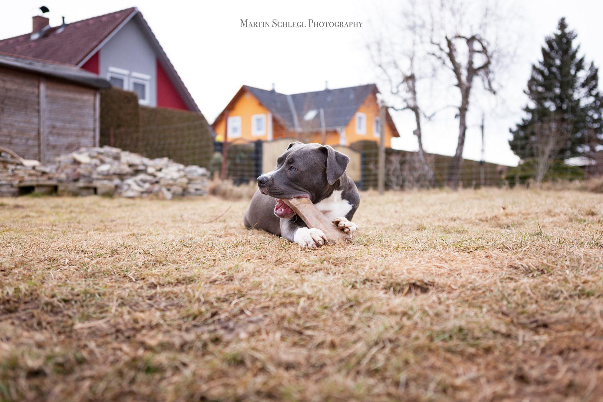Canon EOS-1Ds Mark III sample photo. Jill photography