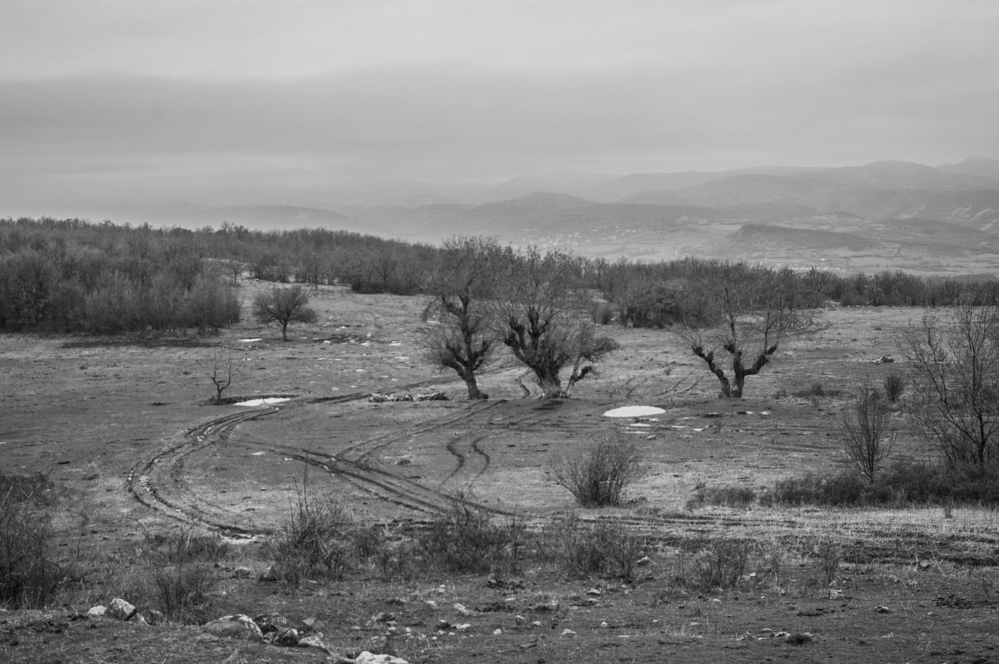 Tamron AF 19-35mm f/3.5-4.5 (A10) sample photo. ... photography