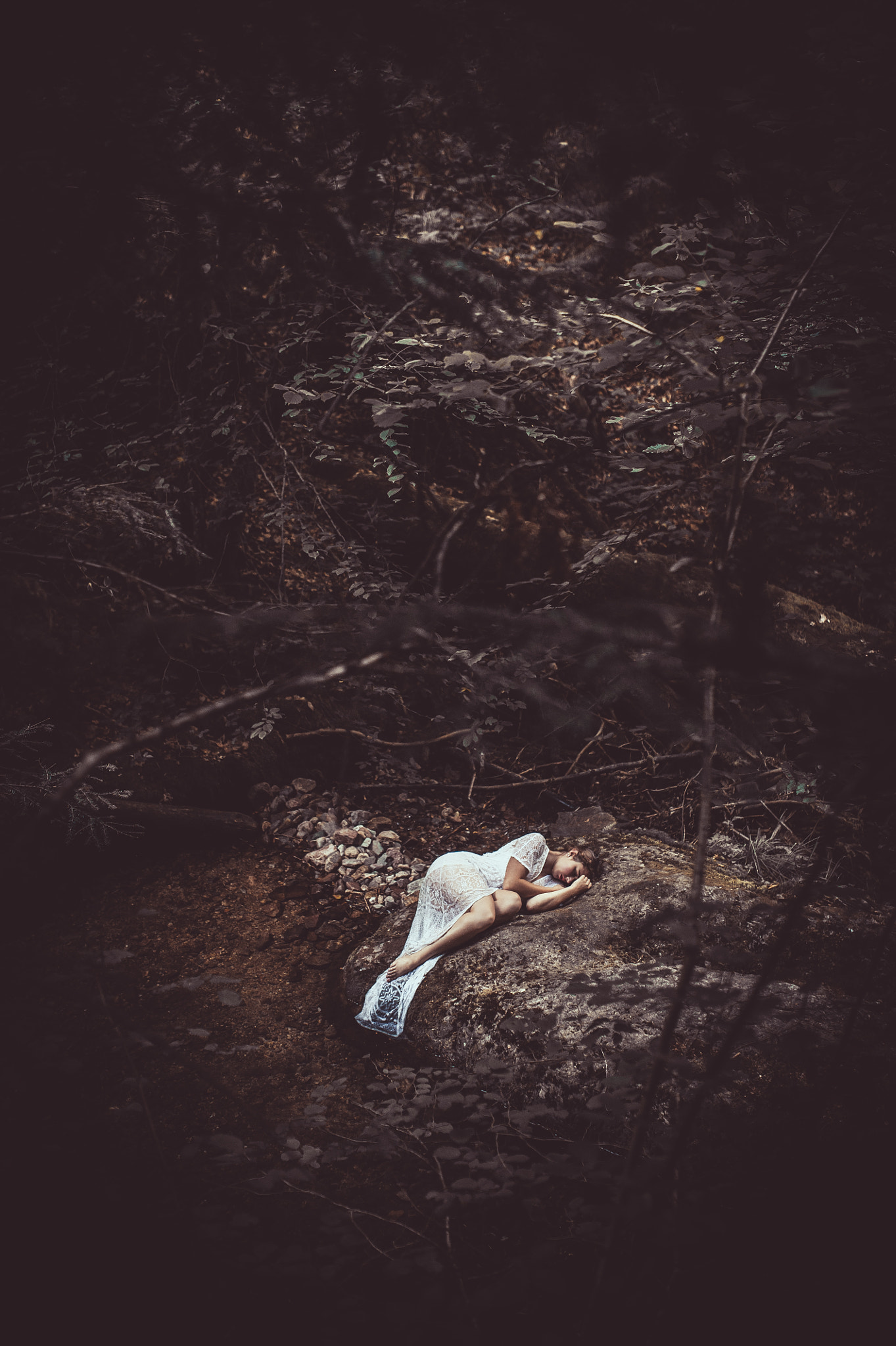 Nikon D700 + Sigma 35mm F1.4 DG HSM Art sample photo. Forest beauty photography