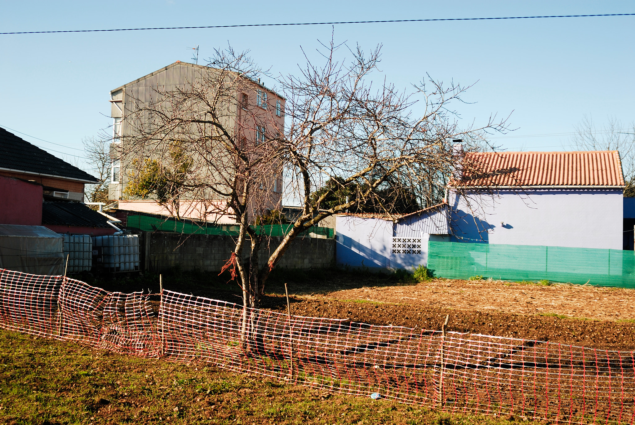 AF Zoom-Nikkor 28-200mm f/3.5-5.6D IF sample photo. Àrbol en rural photography