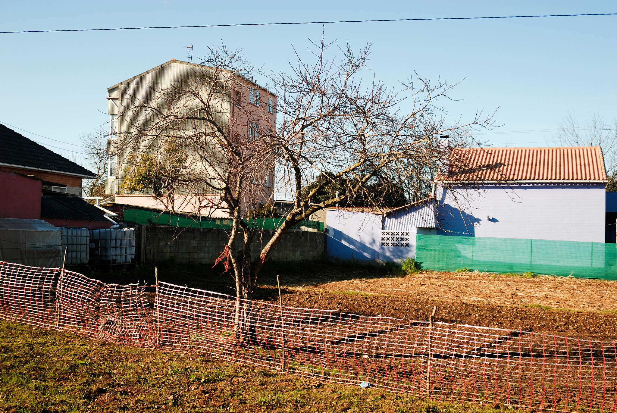 Nikon D200 + AF Zoom-Nikkor 28-200mm f/3.5-5.6D IF sample photo. Àrbol en rural photography