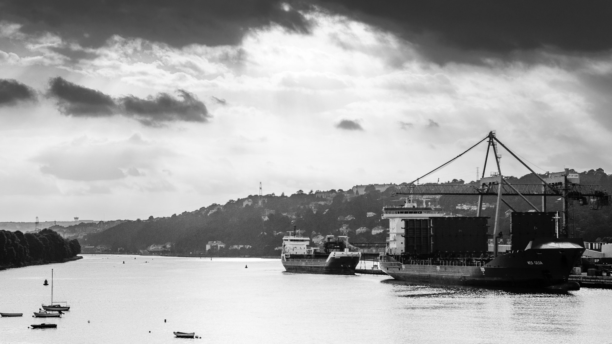 Nikon D7000 + Nikon AF-S Nikkor 50mm F1.4G sample photo. Cork harbour photography