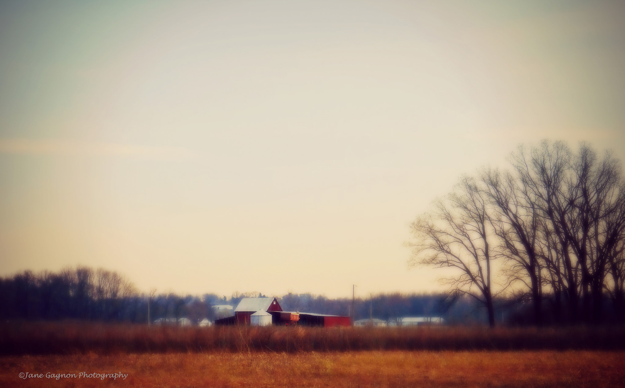 Panasonic Lumix DMC-ZS25 (Lumix DMC-TZ35) sample photo. Farm in hazelwood photography