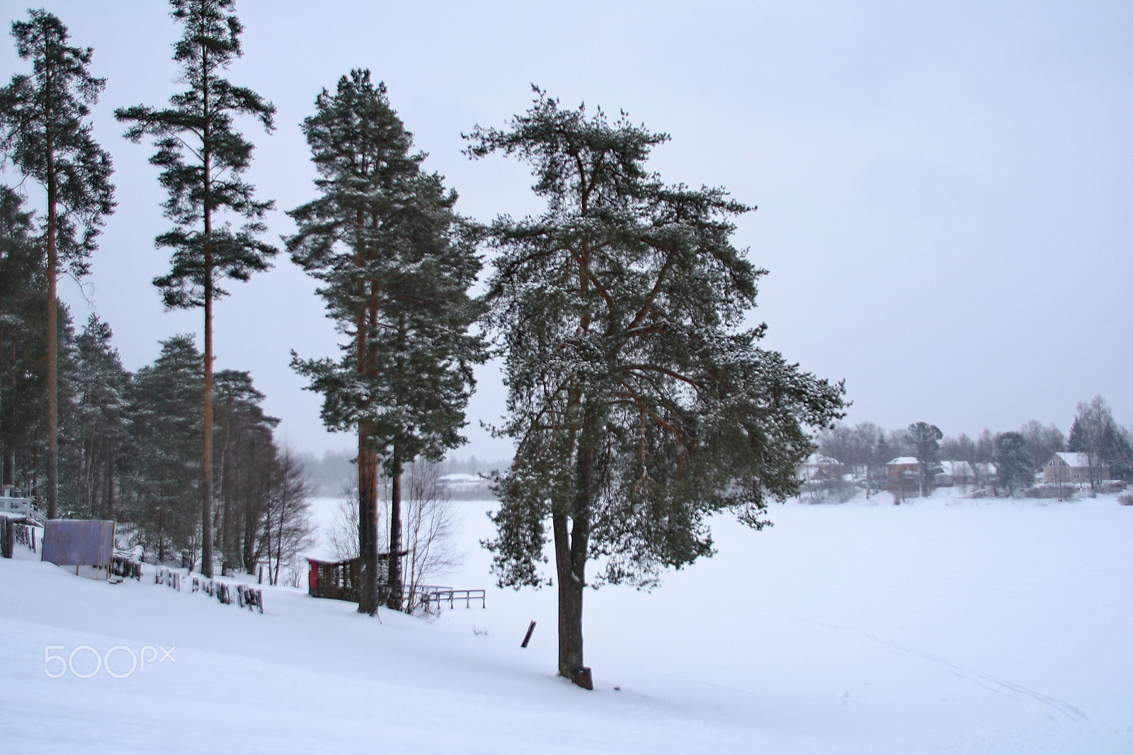 Canon EOS 1000D (EOS Digital Rebel XS / EOS Kiss F) sample photo. Snowday on the lake photography