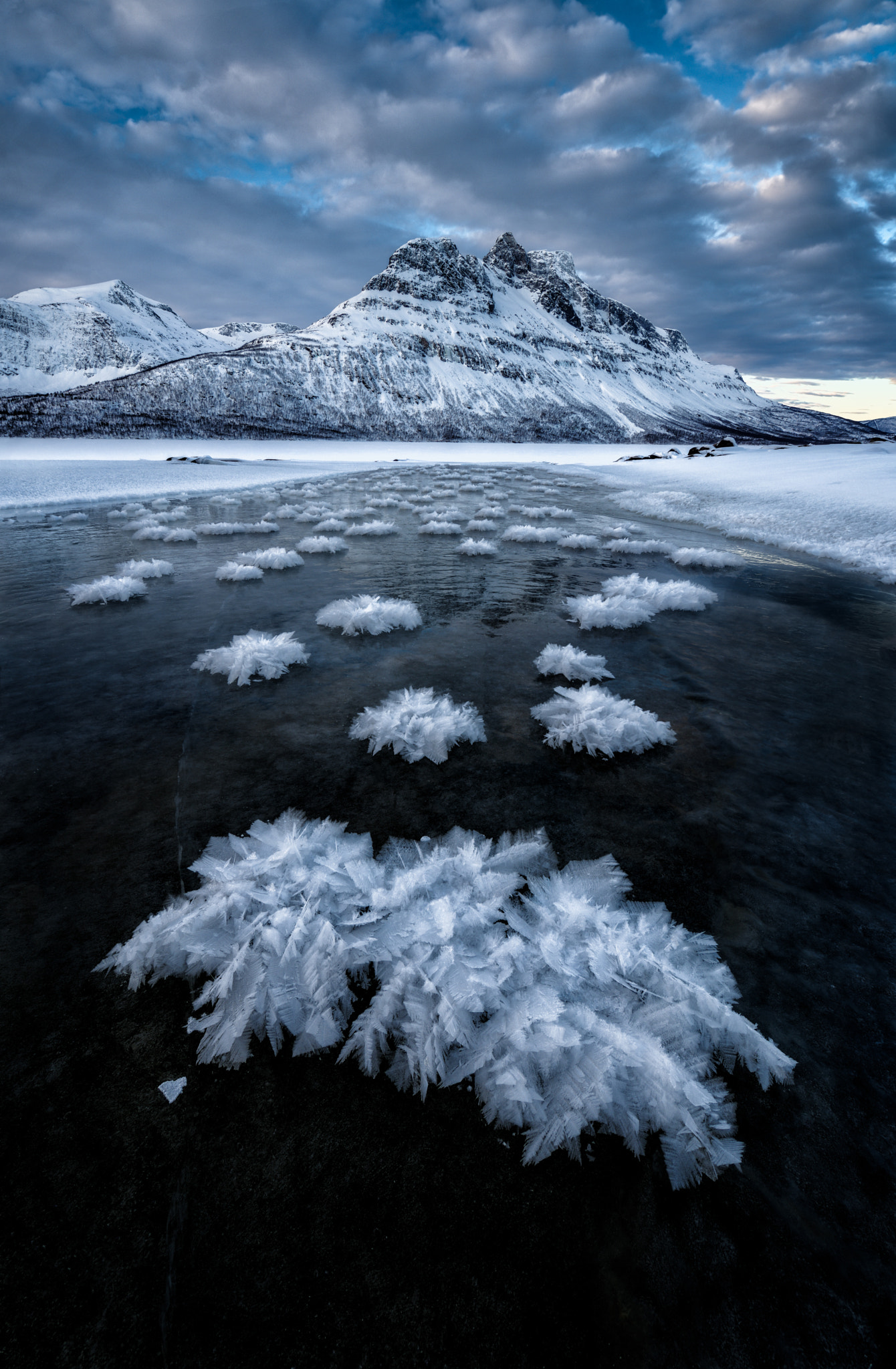 OLYMPUS M.9-18mm F4.0-5.6 sample photo. Ice feathers photography