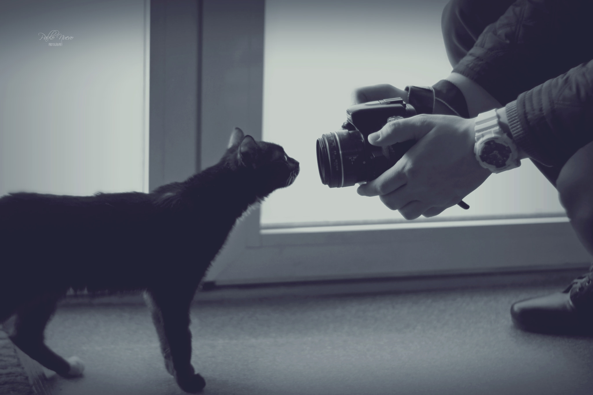 Sony Alpha DSLR-A580 sample photo. Me, myself and cat photography