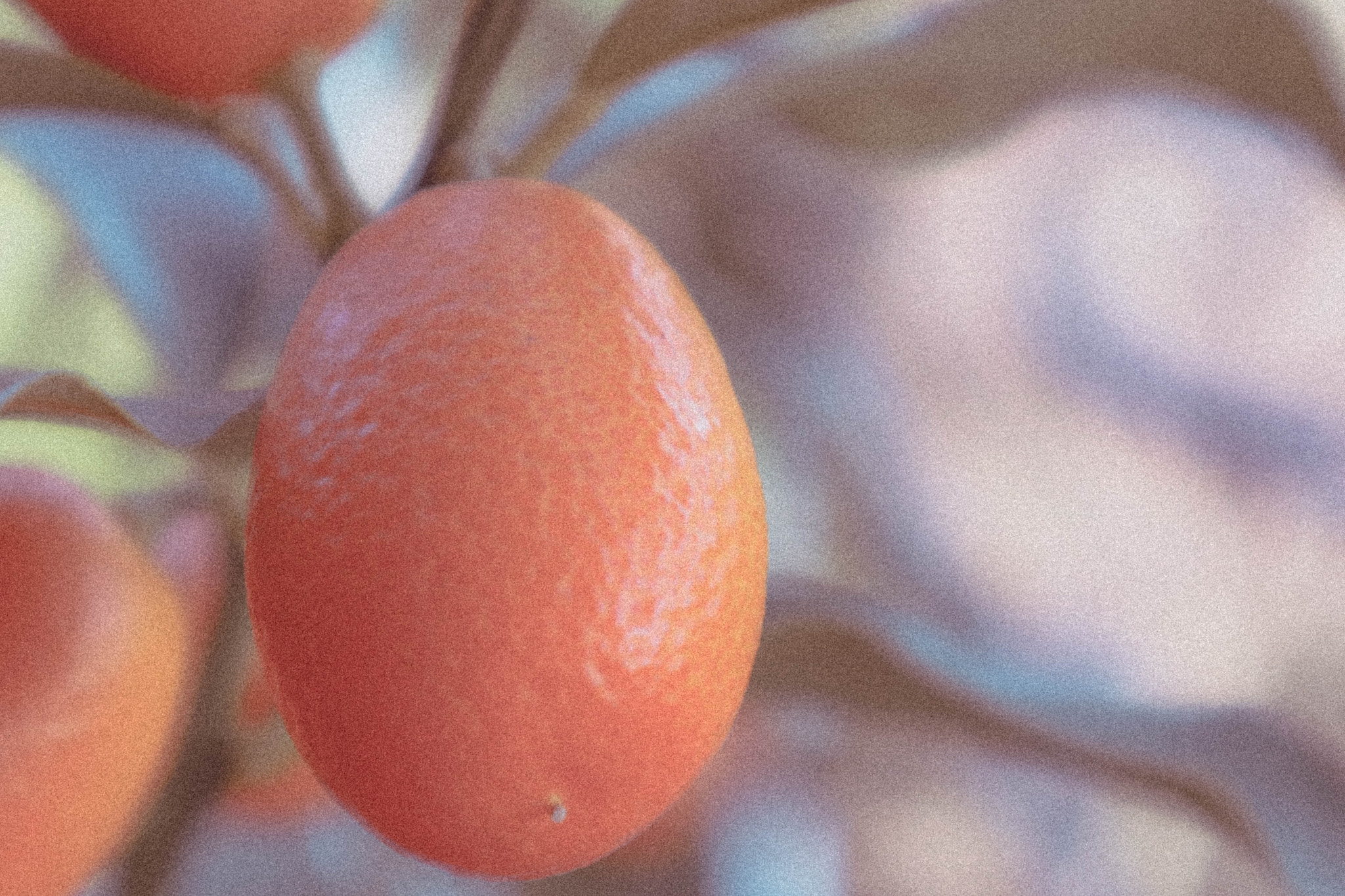 Canon EOS M3 sample photo. Untitled photography