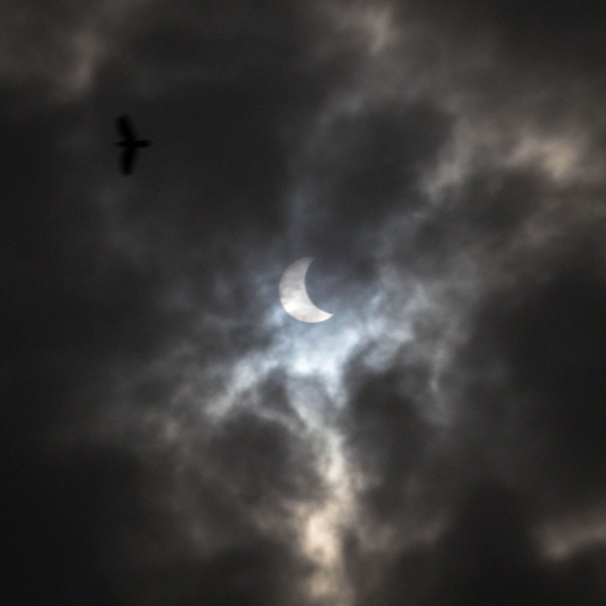 Sony DT 55-300mm F4.5-5.6 SAM sample photo. Today's eclipse photography