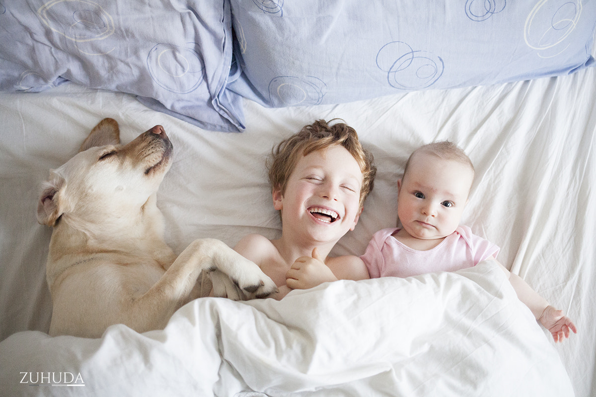 Canon EF 35mm F2 IS USM sample photo. Three monkeys in my bed... photography
