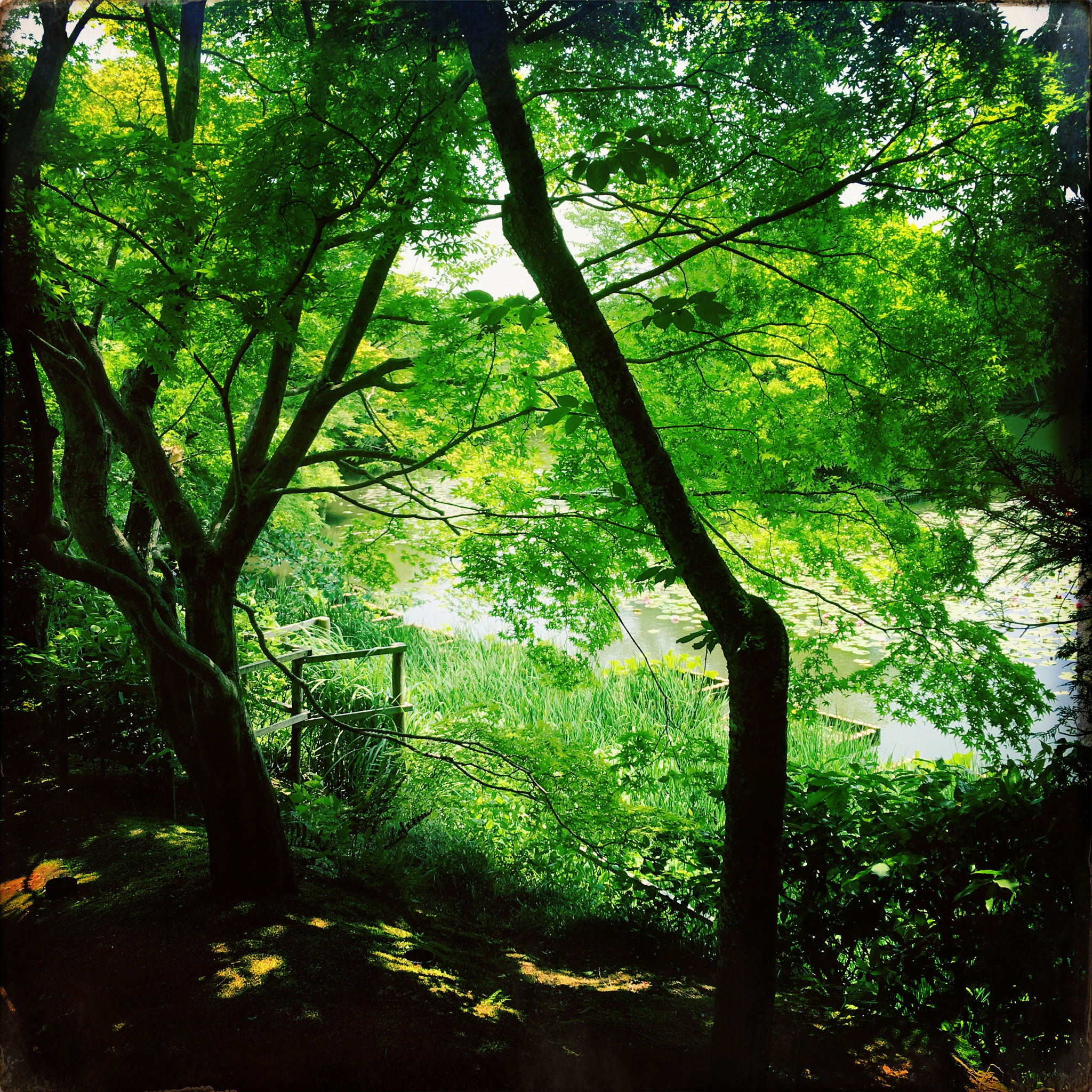 Hipstamatic 313 sample photo