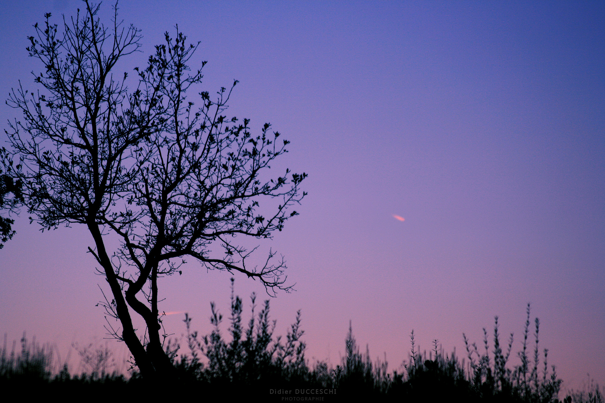 Sigma 55-200mm f/4-5.6 DC sample photo. Chinese shadow photography