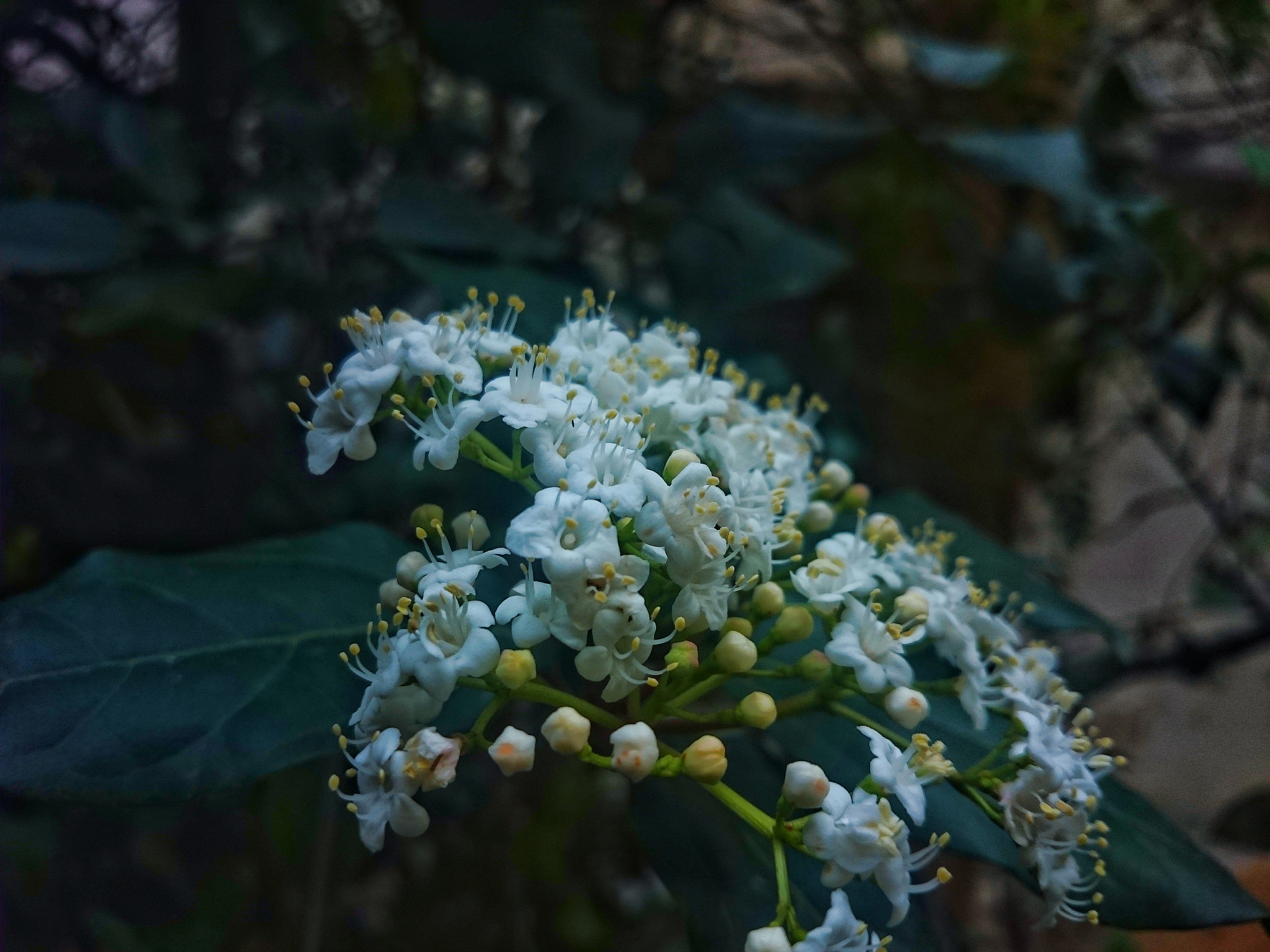 Sony Xperia Z1 Compact sample photo. Cold in spring photography