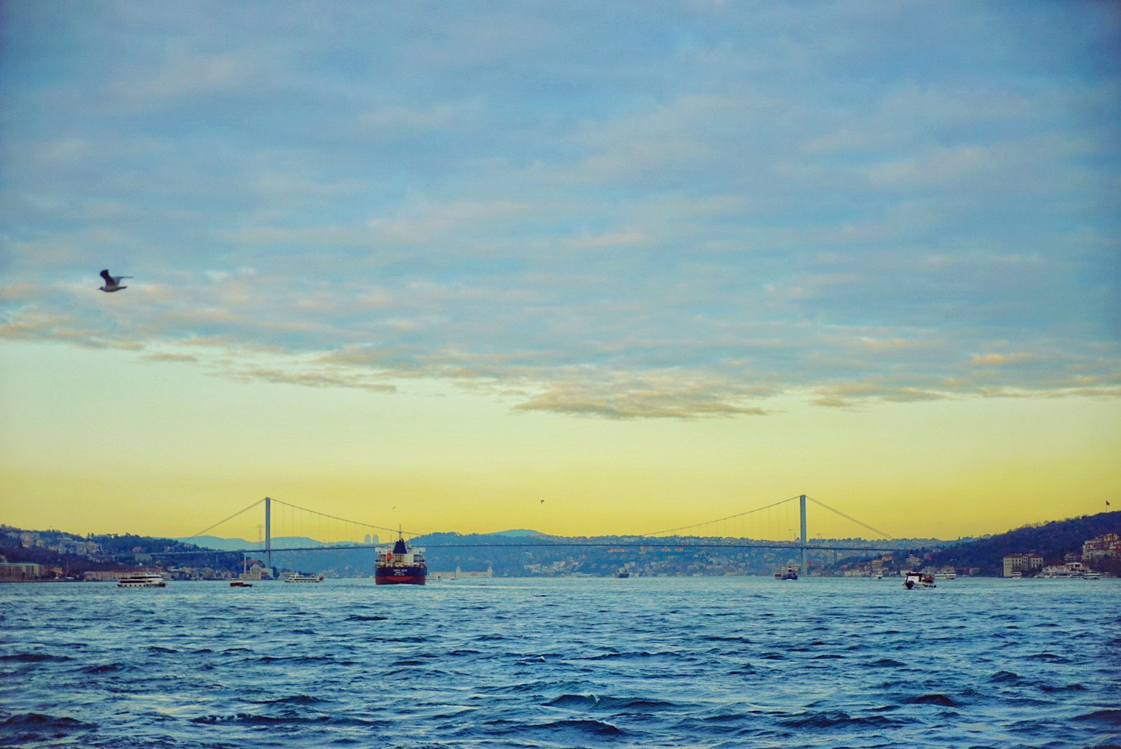 Sony a7 II + Sony Vario Tessar T* FE 24-70mm F4 ZA OSS sample photo. Sunset at the bosphorus... photography