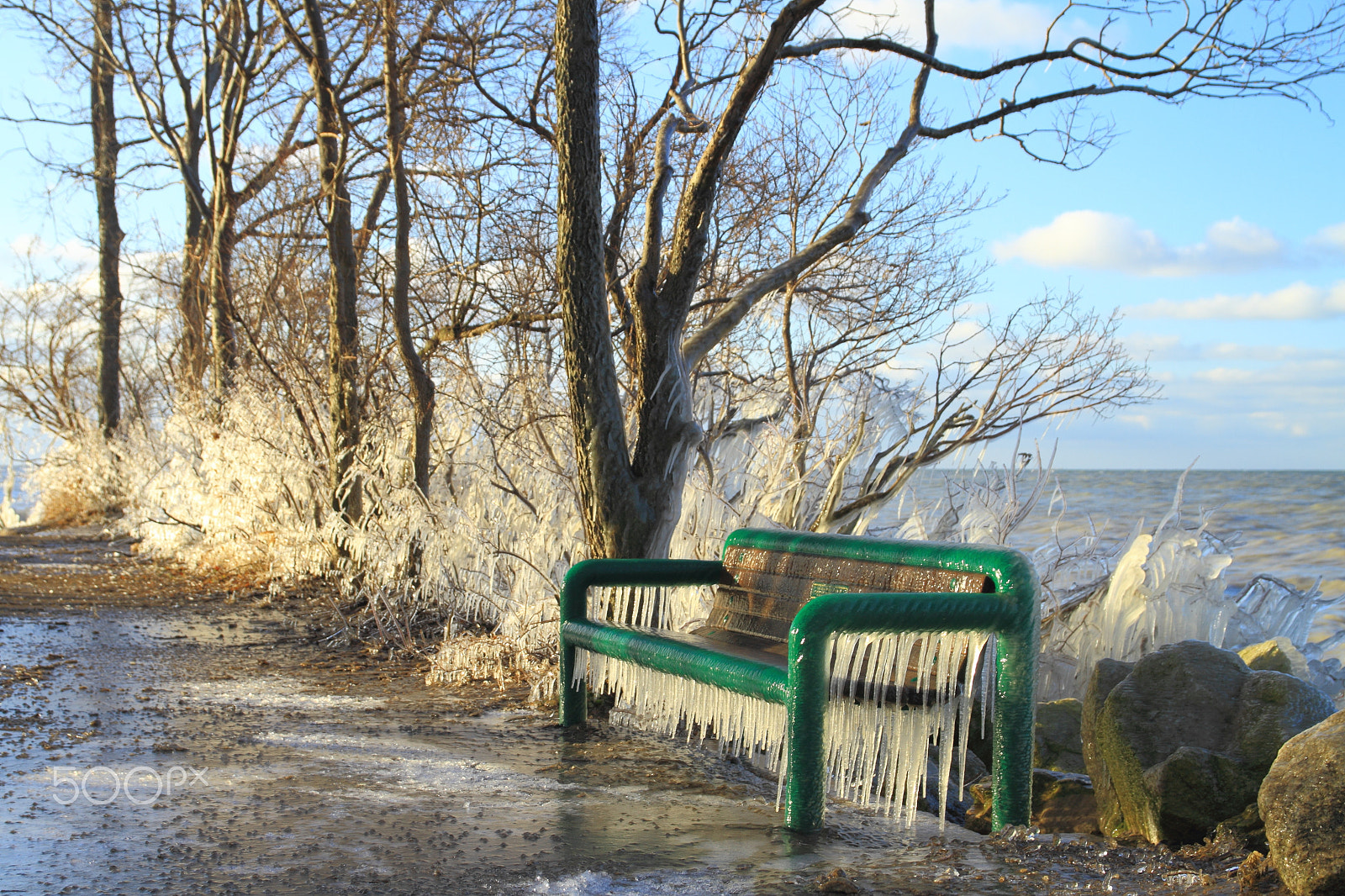 Canon EOS 7D sample photo. Icy bench photography